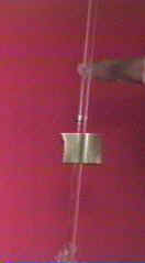 Water level raised in tube by osmosis. (2 minutes elapsed)